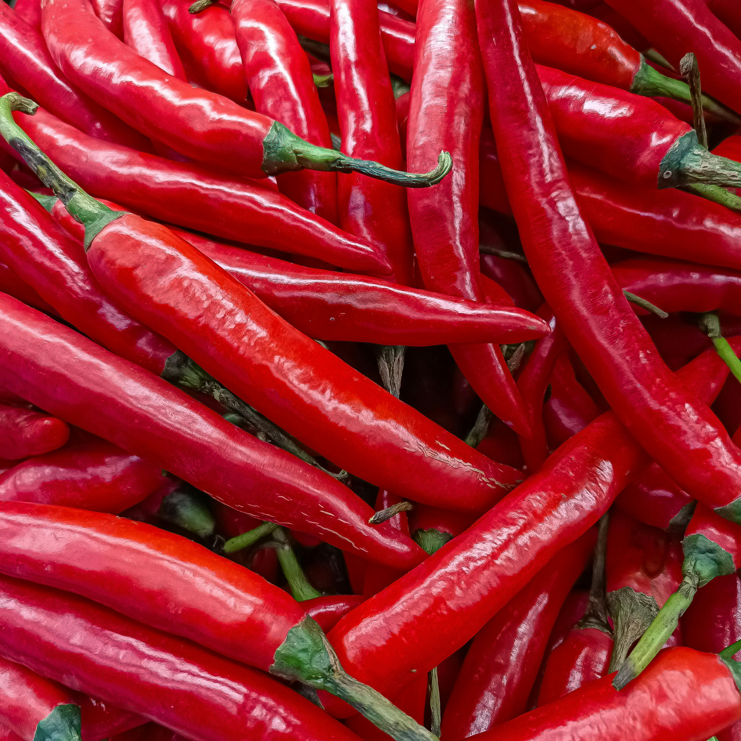 Antep İsot Pul Biber 200gr | Geleneksel Kurutulmuş, Yoğun Aromalı — Naturlina Organics