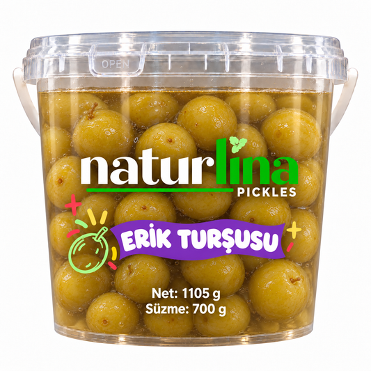 Erik Turşusu