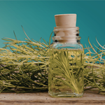 Was ist Rosmarinwasser? Vorteile, Anwendung und Wissenswertes