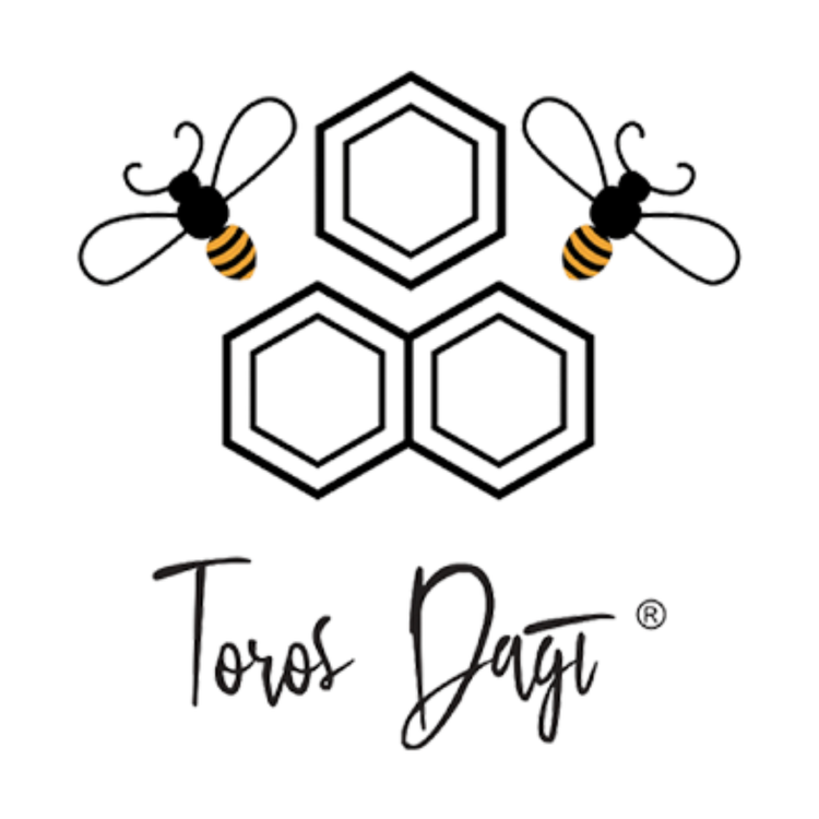 Toros Dağı