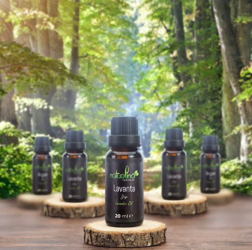 Lavanta Yağı - Soğuk Sıkım & Katkısız | Naturlina Organics