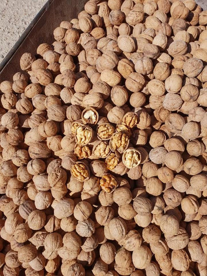 Doğal Yerli Kabuklu Ceviz