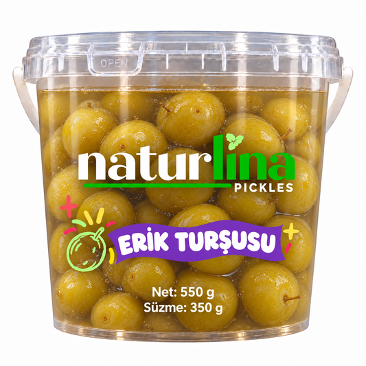 Erik Turşusu