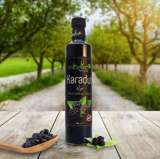 Zongedroogd Zwarte Moerbei Extract – 100% Natuurlijk